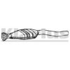 KLARIUS 370603 Catalytic Converter